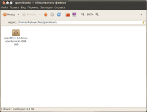 Установка DEB пакета в Ubuntu
