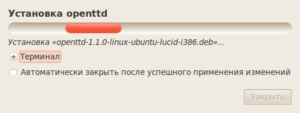 Процесс установки deb-пакета в Ubuntu