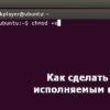 делаем файл исполняемым в linux ubuntu manjaro