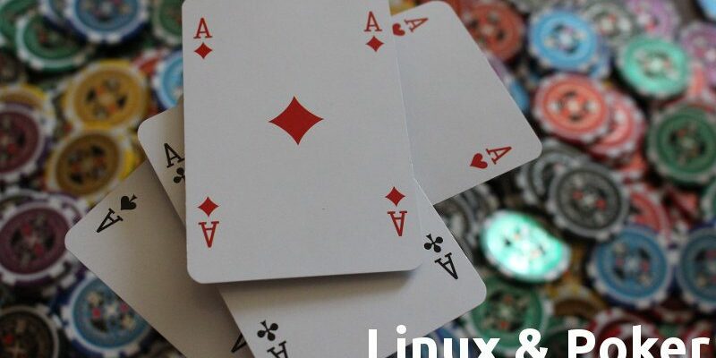 покер линукс