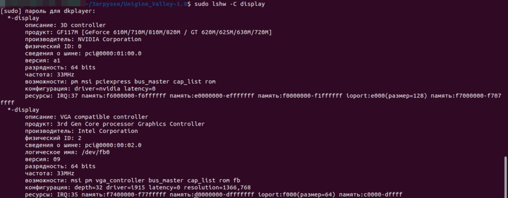 определение видеокарты с помощью lshw display